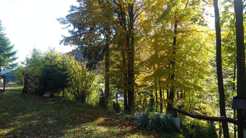 Fatrapark 1 U Sovicky Studio, Kuchynka, Kupelna,S Balkonom Gratis Parkovanie V Podzemnej Garazi 鲁容贝罗克 外观 照片